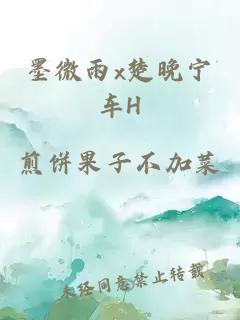 墨微雨x楚晚宁车H