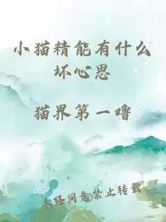 小猫精能有什么坏心思