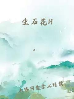 生石花H