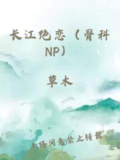 长江绝恋（骨科NP）