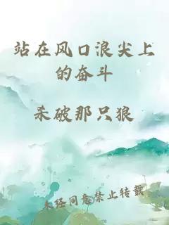 站在风口浪尖上的奋斗