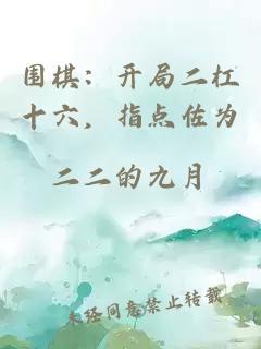 围棋：开局二杠十六，指点佐为