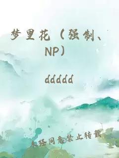 梦里花（强制、NP）