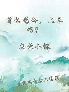 首长老公，上车吗？