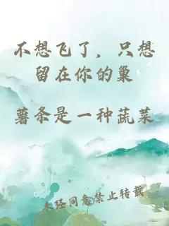 不想飞了，只想留在你的巢