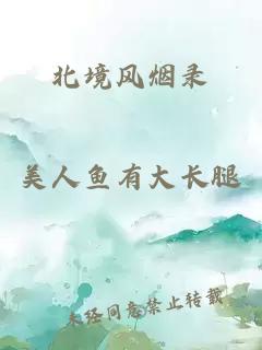 北境风烟录