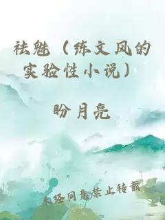 祛魅（练文风的实验性小说）