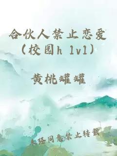 合伙人禁止恋爱（校园h 1v1）