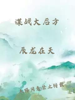 谍战大后方