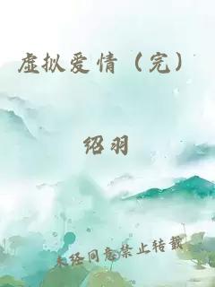 虚拟爱情（完）