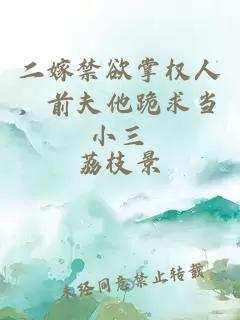 二嫁禁欲掌权人，前夫他跪求当小三