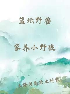 篮坛野兽