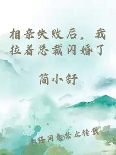 相亲失败后，我拉着总裁闪婚了