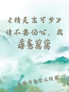 《精灵宝可梦》请不要伤心，我亲爱的你