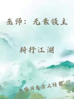 巫师：元素领主