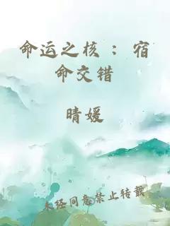 命运之核 ：宿命交错
