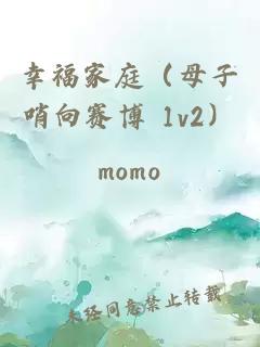 幸福家庭（母子哨向赛博 1v2）