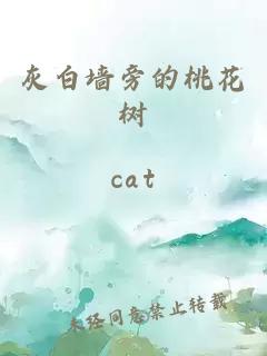 灰白墙旁的桃花树