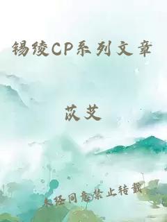 锡绫CP系列文章