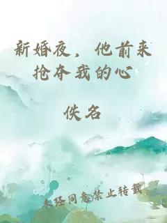 新婚夜，他前来抢夺我的心