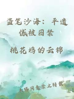 盗笔沙海：平遗憾被囚禁