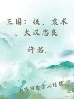 三国：朕，袁术，大汉忠良