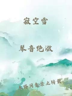 寂空雪