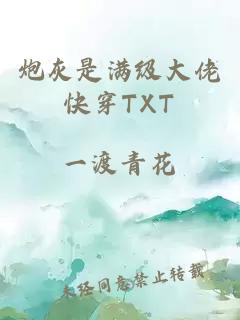 炮灰是满级大佬快穿TXT