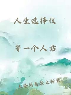 人生选择仪