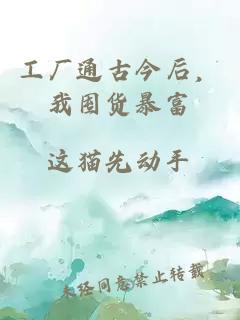 工厂通古今后，我囤货暴富