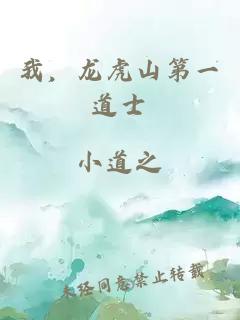 我，龙虎山第一道士