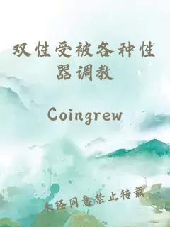 双性受被各种性器调教