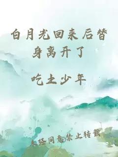 白月光回来后替身离开了